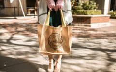 woman holding brown eco-friendly shopping bag